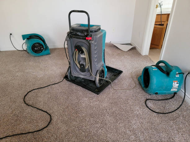 Best Mold removal after water damage  in Middletown, MD