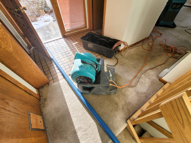 Best Local water damage restoration  in Middletown, MD