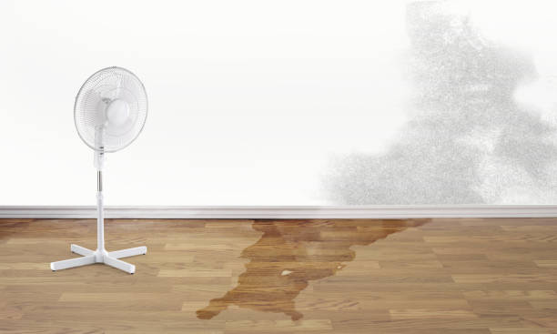 Best Basement water damage restoration  in Middletown, MD