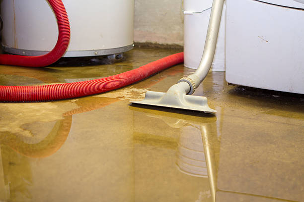 Best Flooded house restoration  in Middletown, MD
